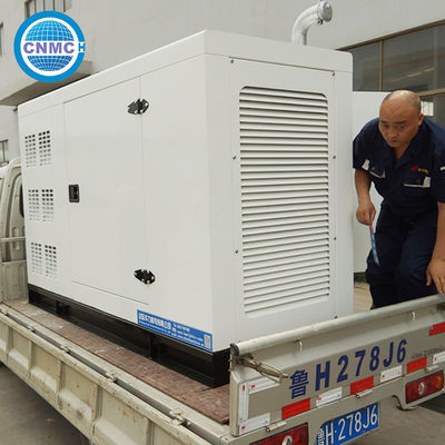 4 Cylinder RICARDO Diesel Generator Multipurpose Electric Start